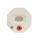 Carbon Monoxide Detector